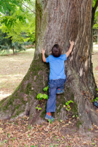 Kind klettert Baum hoch. Foto: © Pavla Zakova – stock.adobe.com
