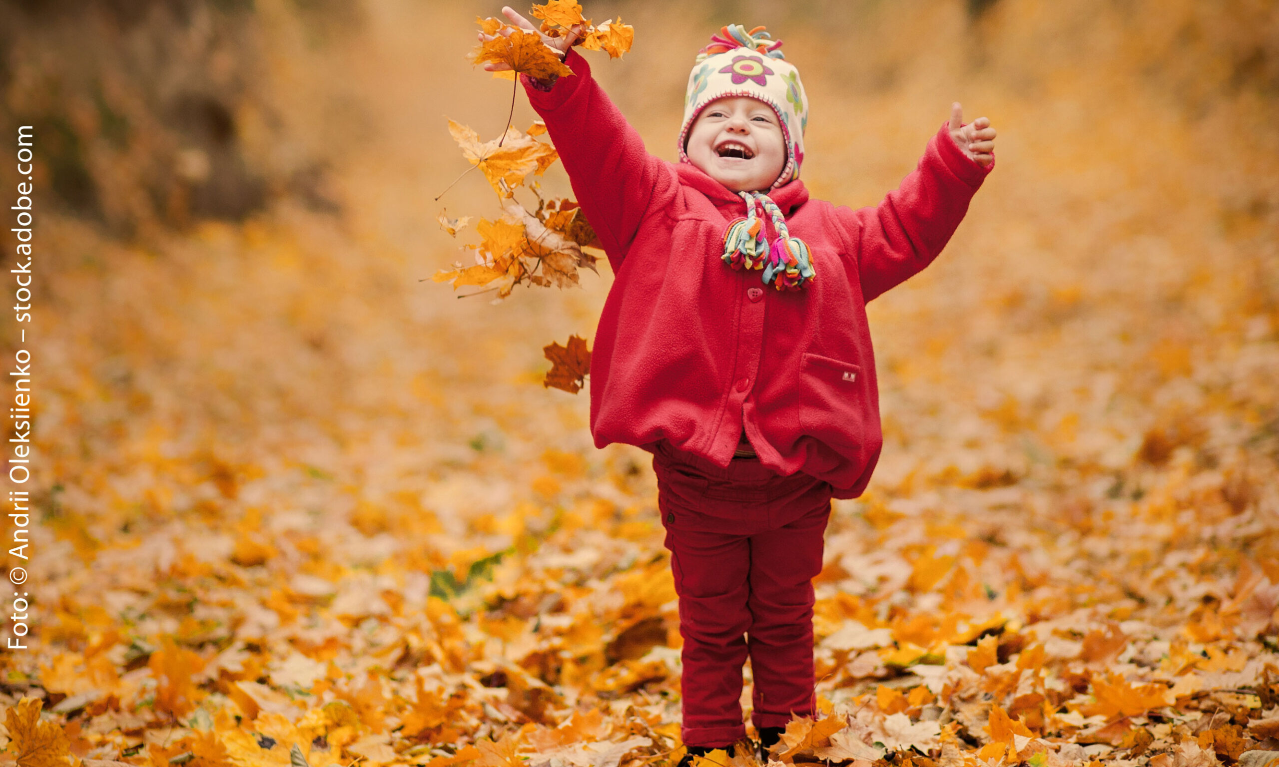 Ein Kind spielt mit Herbstlaub. Foto: © Andrii Oleksiienko – stock.adobe.com